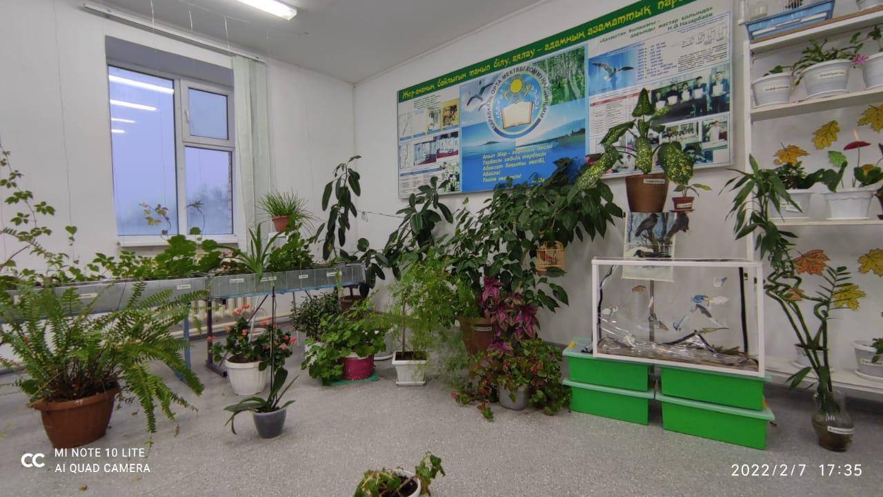 Жыныс процесінің сипаттамасы